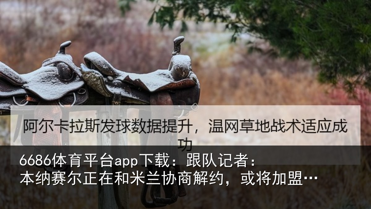 6686体育平台app下载:跟队记者:本纳相关情况商解相关情况体育