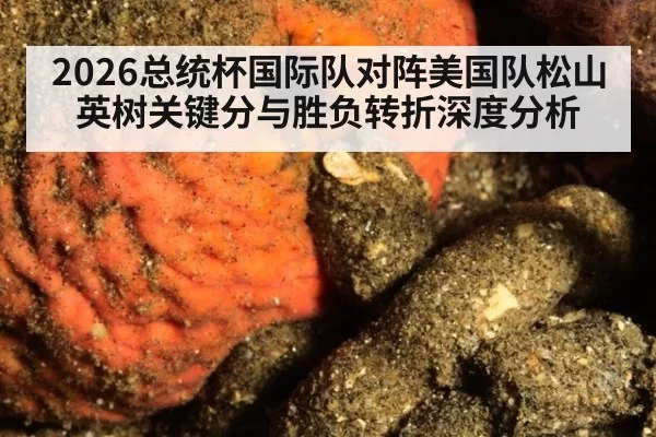 2026总统杯国际队对阵美国队松山英树关键分与胜负转折深度分析